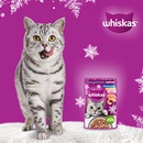 Акция  «Whiskas» (Вискас) «Новогоднее мурррчание с WHISKAS® в Магните»