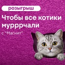 Акция  «Whiskas» (Вискас) «Чтобы все котики мурррчали с Магнит»