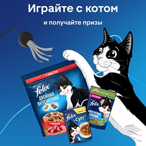 Акция «Felix» (Феликс) «Здорово с котом играть» Акция «Felix» (Феликс) «Здорово с котом играть»