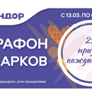 Акция Командор