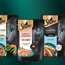 Акция Sheba и Купер: «Океан помощи от Sheba»