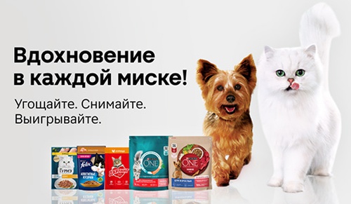 Акция  «Purina One» (Пурина Ван) «Вдохновение в каждой миске! Угощайте. Снимайте. Выигрывайте»