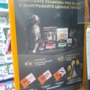 Четыре лапы и pro plan