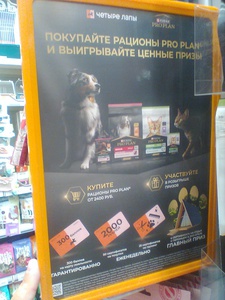 Четыре лапы и pro plan