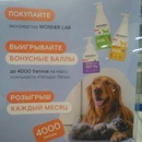 Wonderlab и четыре лапы