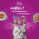 Акция  «Whiskas» (Вискас) «Муррр на любой вкус в Пятёрочке»