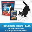 Акция  «Felix» (Феликс) «Здорово быть котом!»