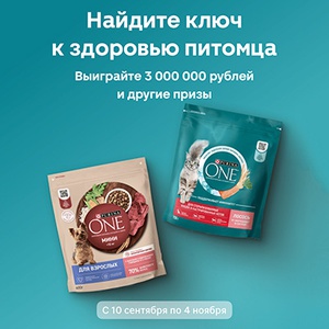 Акция  «Purina One» (Пурина Ван) «Найдите ключ к здоровью питомца»