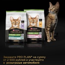 Акция Pro Plan и Озон