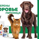 Розыгрыш призов от TM Perfect Fit