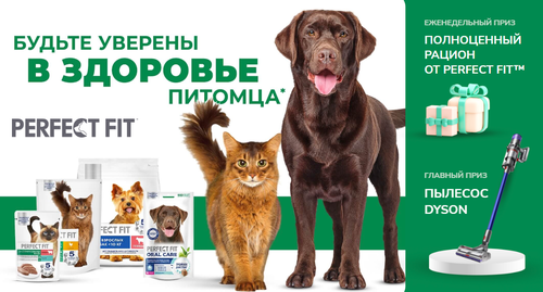 Розыгрыш призов от TM Perfect Fit