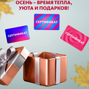 Розыгрыша «Осенний Подаркопад» от «АльфаСтрахование»