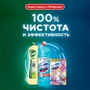 Акция  «Доместос» (Domestos) «100% чистота и эффективность»