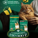 Акция  «Cattera» (Каттера) «Поймайте удачу за лапу!»