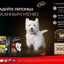 Sheba_Cesar-Порадуйте питомца изысканным меню