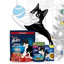 Акция  «Felix» (Феликс) «Хозяин и кот счастливы в Новый год»