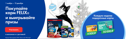 Акция Felix и Лента: «Хозяин и кот счастливы в Новый год»