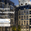 Акция «К8 дарит»