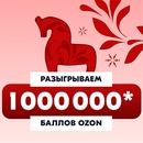 Акция  «Ozon» (Озон) «Встречаем Новый год с Ozon fresh»