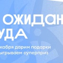 Акция Вкусвилл: «ВВитрина чудес»