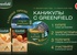 Акция чая «Greenfield» (Гринфилд) «Каникулы с Greenfield»