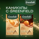 Акция чая «Greenfield» (Гринфилд) «Каникулы с Greenfield»