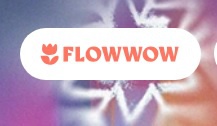 Акция Flowwow: «Тайный Санта»