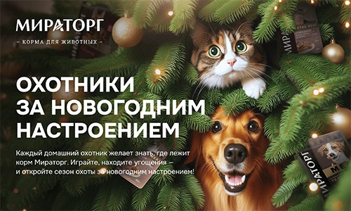 Акция  «Мираторг» «Охотники за новогодним настроением»