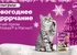 Акция  «Whiskas» (Вискас) «Новогоднее мурррчание. Получай призы от Whiskas® в Магнит!»