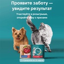Акция  «Purina One» (Пурина Ван) «Проявите заботу – увидите результат»