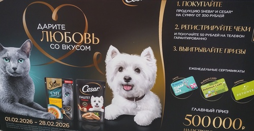 Акция Sheba, Cesar и Лента: «Дарите любовь со вкусом в Ленте»