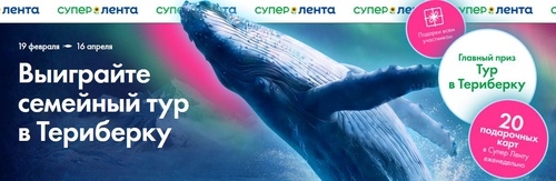 Лента, Выиграйте семейный тур в Териберку