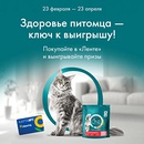 Акция  «Purina One» (Пурина Ван) «Здоровье питомца – ключ к выигрышу!»