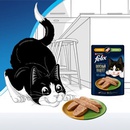 Акция  «Felix» (Феликс) «Отмечайте День кошек с FELIX® и выигрывайте призы!»