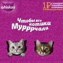 Акция  «Whiskas» (Вискас) «День кошек. Приятная забота!»