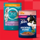 Акция  «Purina One» (Пурина Ван) «Призы и кешбэк за покупку корма»