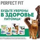 Акция  «Perfect Fit» (Перфект Фит) «Будьте уверены в здоровье питомца»