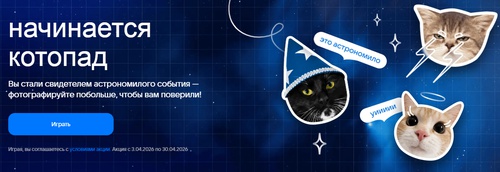 Акция Mail.ru «Котопад»