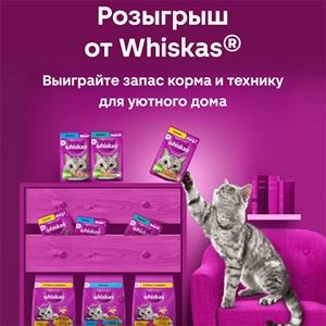 Акция  «Whiskas» (Вискас) «Муррр, как вкусно!»