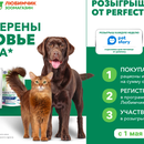 «Активация Perfect Fit»