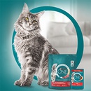 Акция  «Purina One» (Пурина Ван) «Позаботьтесь о здоровье питомца!»