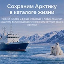 Акция  «RuStore» (РуСтор) «Каталоги Арктики»