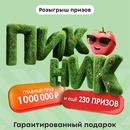 Акция  «Пятерочка» (5ka.ru) «Пикник – доставим вмиг»