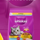 Акция Лента, Whiskas