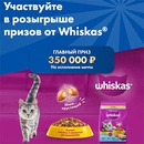 Акция  «Whiskas» (Вискас) «Карты-сюрпризы с геймификацией Лентомания»