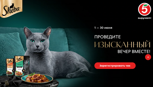 Акция Sheba, Whiskas, Perfect Fit, Pedigree, Chappi и Пятёрочка: «Проведите изысканный вечер вместе»
