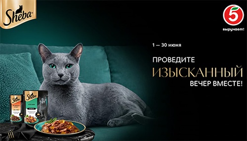 Акция  «Sheba» (Шеба) «Проведите изысканный вечер вместе»