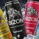 Акция Bizon Energy: «BIZON — зарядись на миллион!»