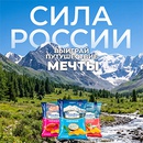 Акция  «Московский картофель» «Сила России»