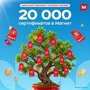 Акция магазина «Магнит» (magnit.ru) «Призолето»